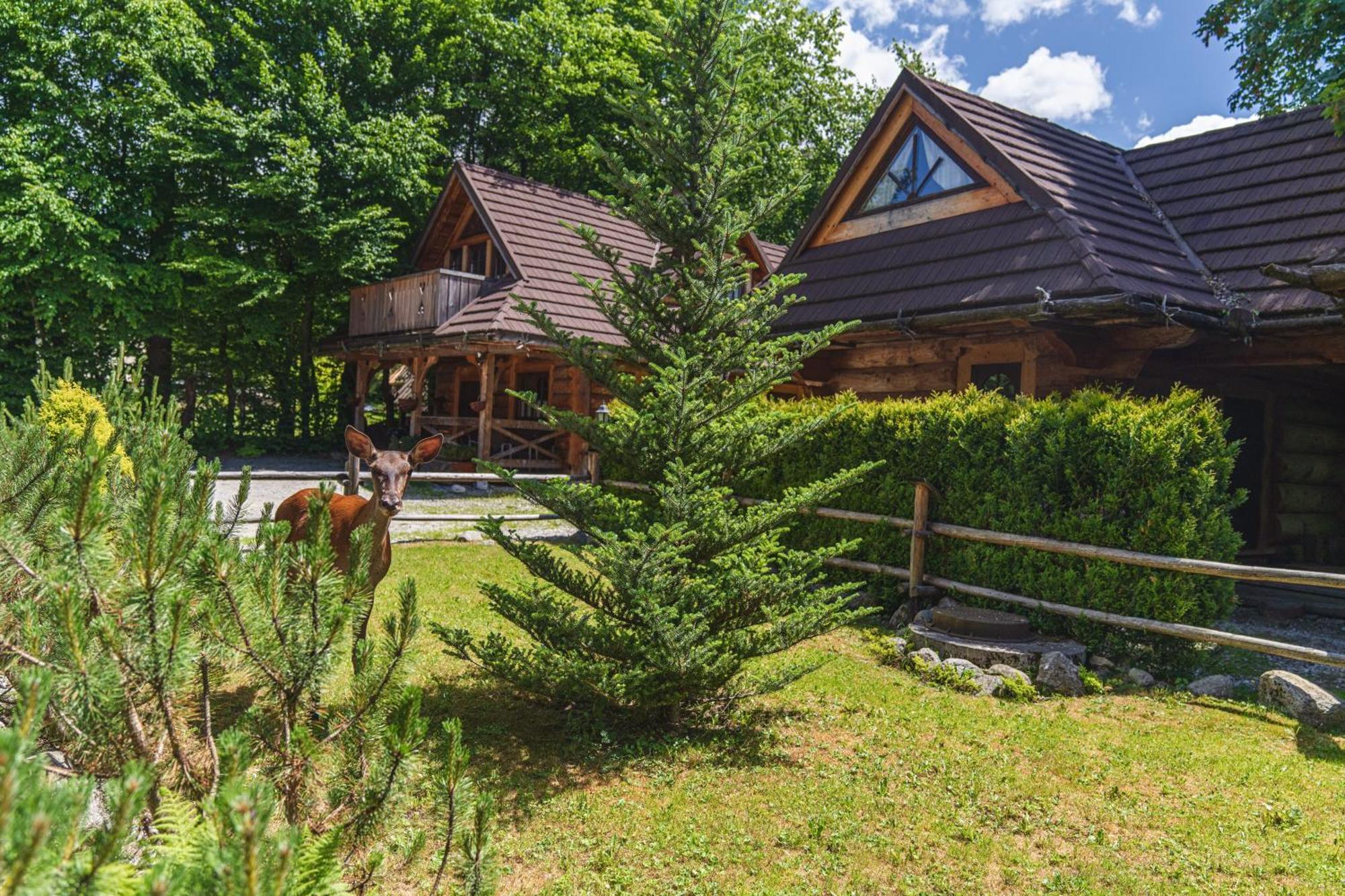 Mountain Shelter Zakopane Villa — Photos 1